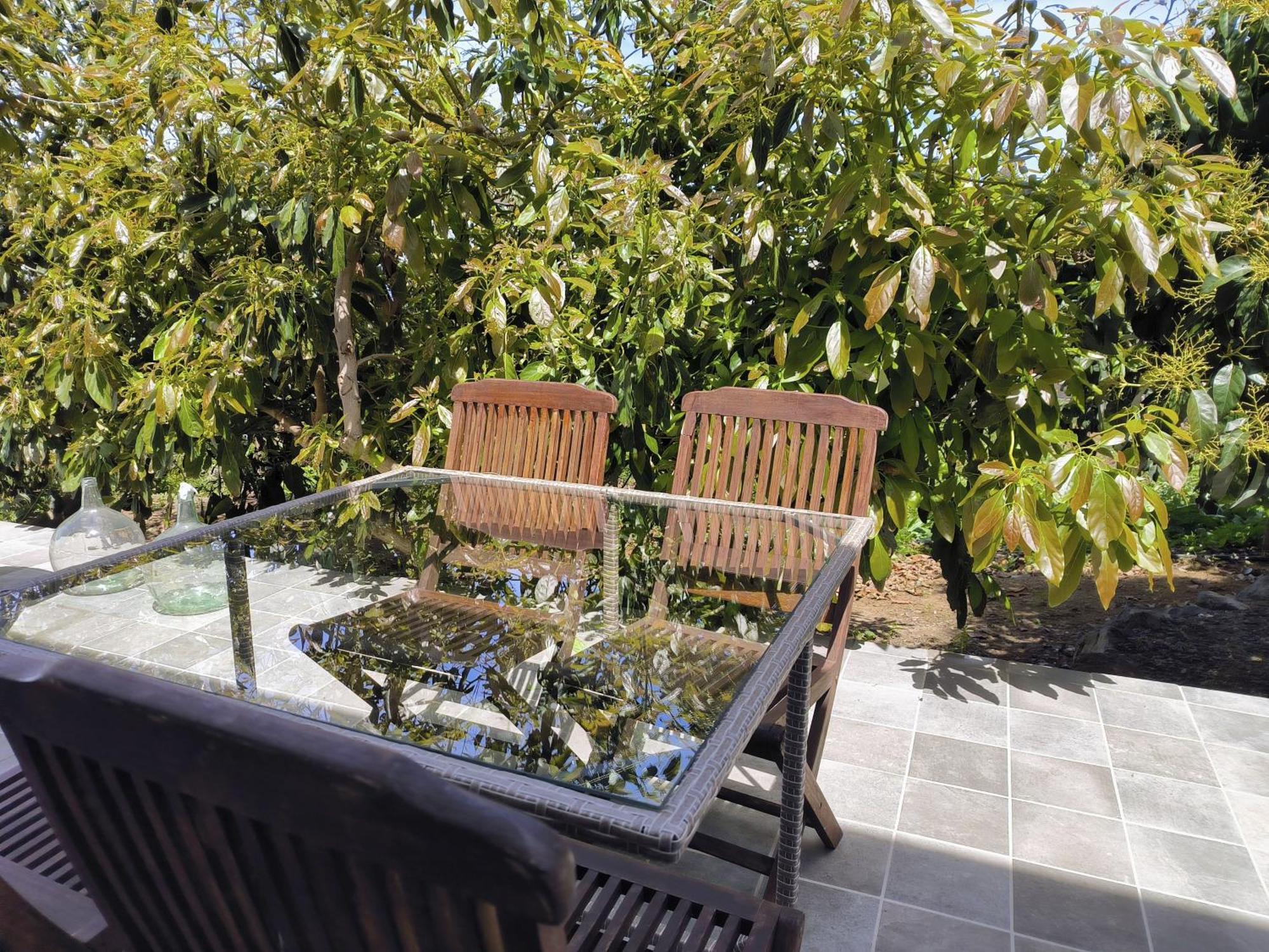Apartamentos Guayonje Costa Санта-Крус-де-Тенерифе Экстерьер фото